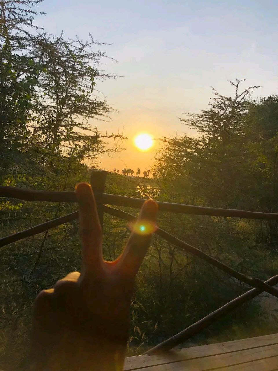 Awash National Park Ethiopia destination
